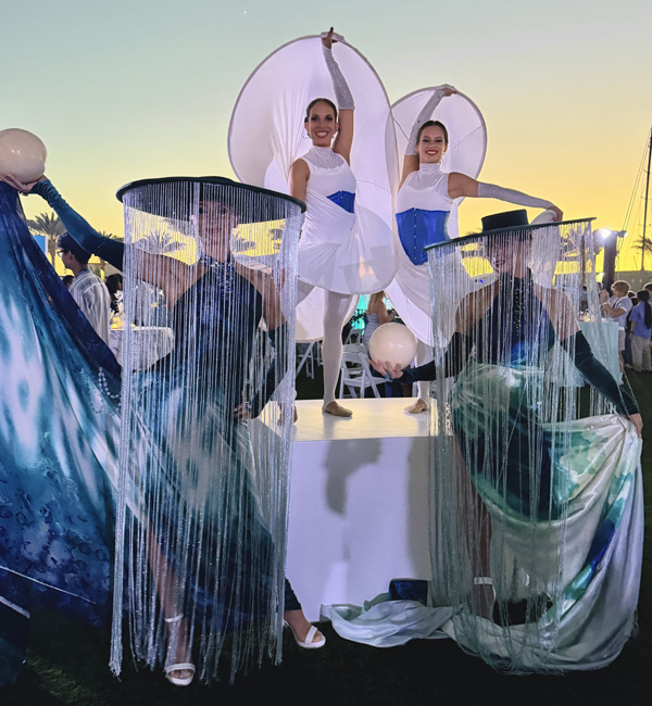 San Diego LED entertainment